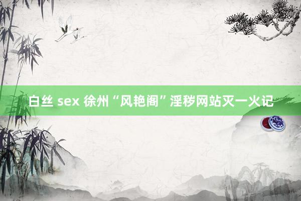 白丝 sex 徐州“风艳阁”淫秽网站灭一火记