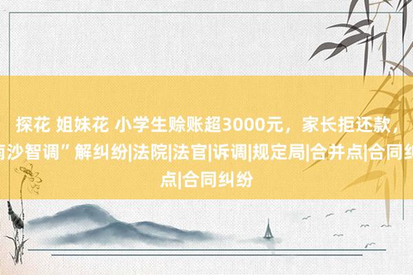 探花 姐妹花 小学生赊账超3000元，家长拒还款，“南沙智调”解纠纷|法院|法官|诉调|规定局|合并点|合同纠纷