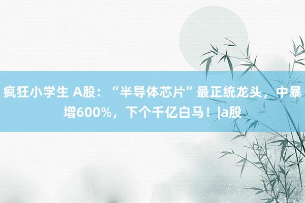 疯狂小学生 A股：“半导体芯片”最正统龙头，中暴增600%，下个千亿白马！|a股