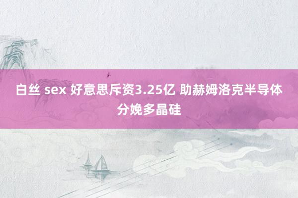 白丝 sex 好意思斥资3.25亿 助赫姆洛克半导体分娩多晶硅