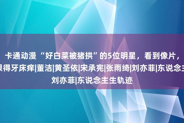 卡通动漫 “好白菜被猪拱”的5位明星，看到像片，网友：恨得牙床痒|董洁|黄圣依|宋承宪|张雨绮|刘亦菲|东说念主生轨迹