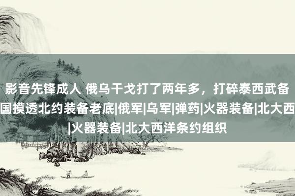 影音先锋成人 俄乌干戈打了两年多，打碎泰西武备外传，让中国摸透北约装备老底|俄军|乌军|弹药|火器装备|北大西洋条约组织