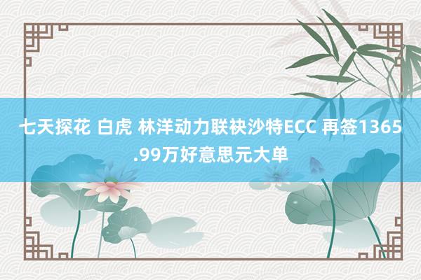 七天探花 白虎 林洋动力联袂沙特ECC 再签1365.99万好意思元大单