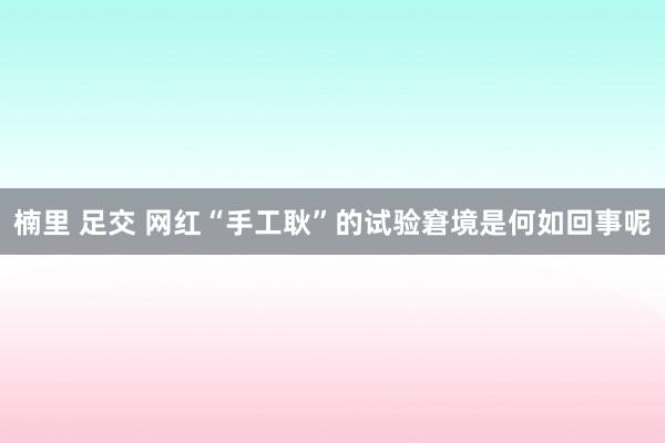 楠里 足交 网红“手工耿”的试验窘境是何如回事呢