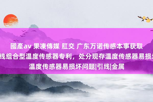 國產av 果凍傳媒 肛交 广东万诺传感本事获取用于带插片接地线组合型温度传感器专利，处分现存温度传感器易损坏问题|引线|金属