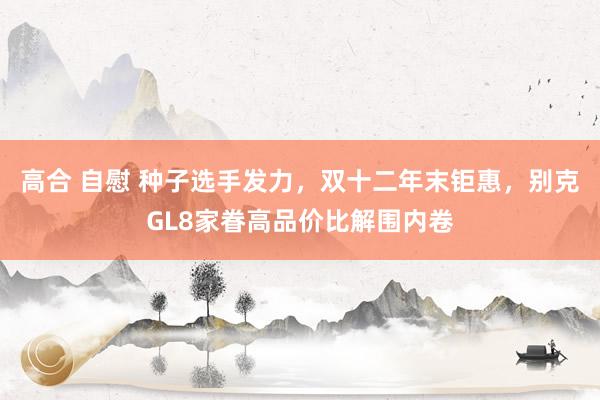 高合 自慰 种子选手发力，双十二年末钜惠，别克GL8家眷高品价比解围内卷