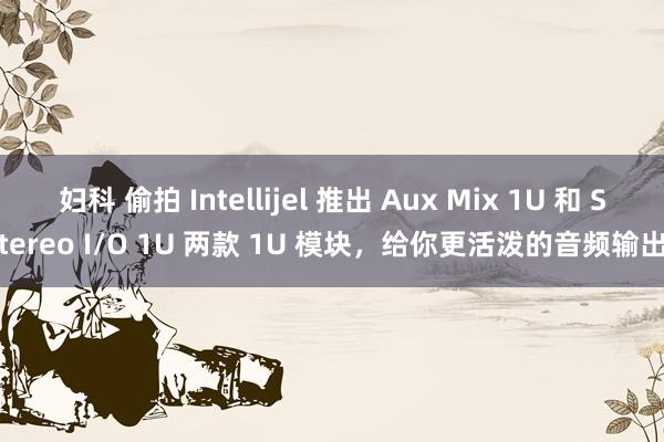 妇科 偷拍 Intellijel 推出 Aux Mix 1U 和 Stereo I/O 1U 两款 1U 模块，给你更活泼的音频输出