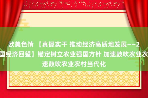 欧美色情 【真握实干 推动经济高质地发展——2024年中国经济回望】锚定树立农业强国方针 加速鼓吹农业农村当代化