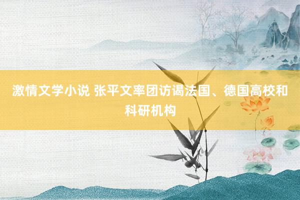 激情文学小说 张平文率团访谒法国、德国高校和科研机构