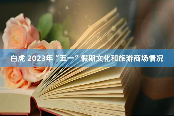 白虎 2023年“五一”假期文化和旅游商场情况