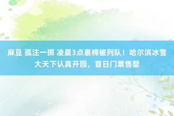 麻豆 孤注一掷 凌晨3点裹棉被列队！哈尔滨冰雪大天下认真开园，首日门票售罄